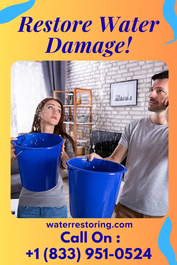 water restoration Reliable Disaster Cleanup Company Lyndhurst